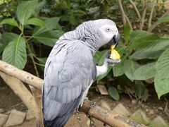 -南宫五洲植物乐园