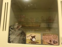 -龙猫仔乐园(惠福东路店)