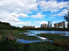 -洛龙公园