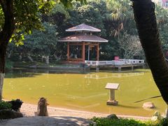 -黄埔荔枝公园