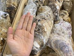 -蚝美人·生蚝海鲜烧烤(茶花园店)