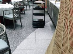 -阿五黄河大鲤鱼(海尚店)
