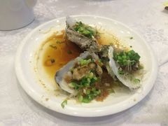 生蚝-红城阁·上海味道(四平路店)