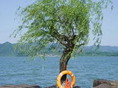 -东钱湖旅游度假区