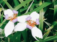 -火炉山森林公园