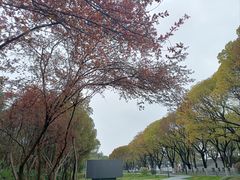 -渤公岛生态公园