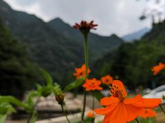 -秦岭终南山世界地质公园翠华山景区