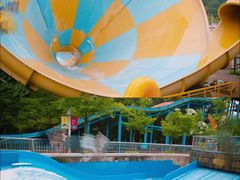 -重庆海昌加勒比海水世界
