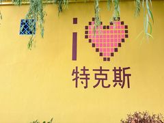 -特克斯八卦城
