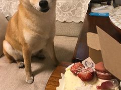-洛佩塔蛋糕