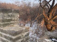 -北陵公园