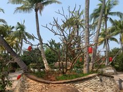 -白沙门生态公园