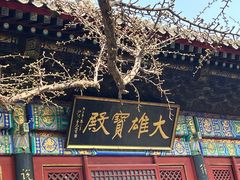-红螺寺