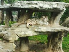 -北京野生动物园