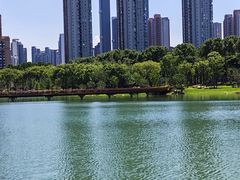 -后襄河公园