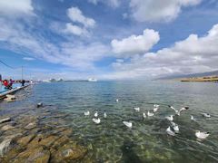 -青海湖国家重点风景名胜区