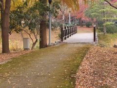 -尚贤河湿地