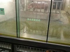 -石家庄市动物园