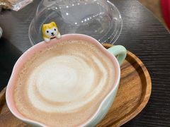 -逗柴咖啡屋·狗咖猫咖宠物桌游