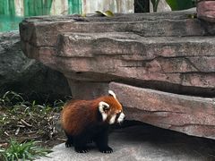 -泉州海丝野生动物世界