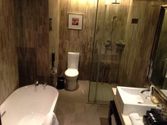 iphone_upload_pic-常州环球恐龙城维景国际大酒店