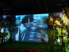 -红色娘子军纪念园