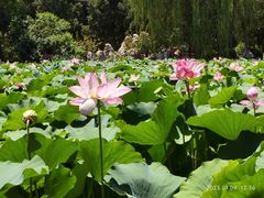 -莲池书院博物馆