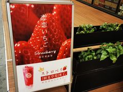 -树夏(鹭洲里店)