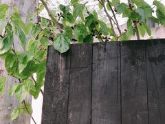 -梵几(东信·和创园店)