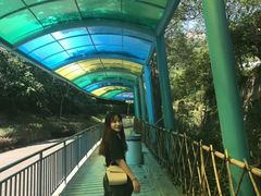 -东部华侨城