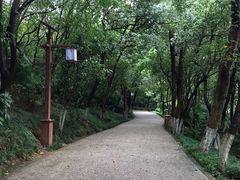 -天目湖山水园