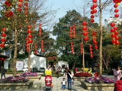 -乌山风景区
