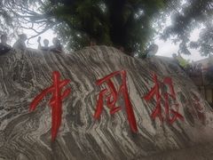 -大槐树寻根祭祖园