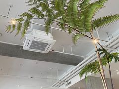 -COFFEEOLOGY咖啡学(天银店)