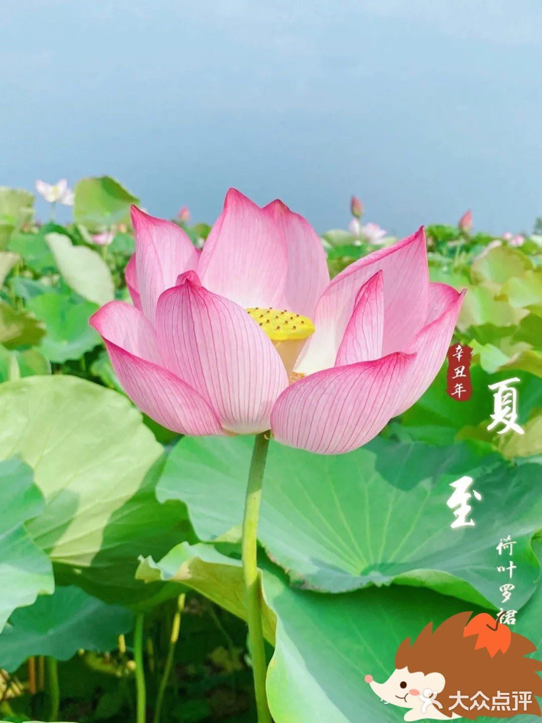 无锡周边游推荐小众地之马家荡