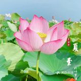 无锡周边游推荐小众地之马家荡