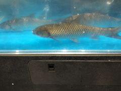-盒马鲜生(曜一城店)