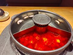 -巴奴毛肚火锅(七宝领展广场店)