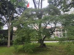 -上海虹桥迎宾馆