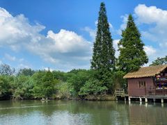 -溱湖国家湿地公园