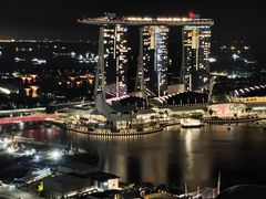 -新加坡瑞士史丹福酒店