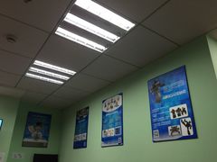 -乐博乐博机器人学校(周浦校区)