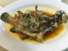 -宜兴隆家宴·私房菜(泰安华庭店)