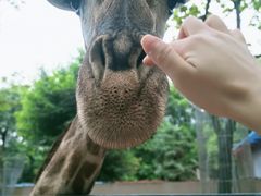 -荆州中山公园动物园