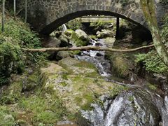 -藏龙百瀑风景区