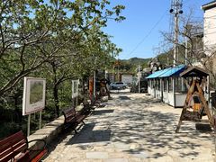 -大岭沟猕猴桃谷风景区