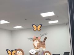 -澜大·领鹿·UNLOCK择校备考·三公小托福AMC(浦东校区)