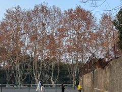 -浙江大学(玉泉校区)