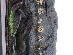 -北京西山国家森林公园