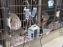 -御宝贝24h宠物医院·转诊中心·CT核磁血透中心(厦门总院)